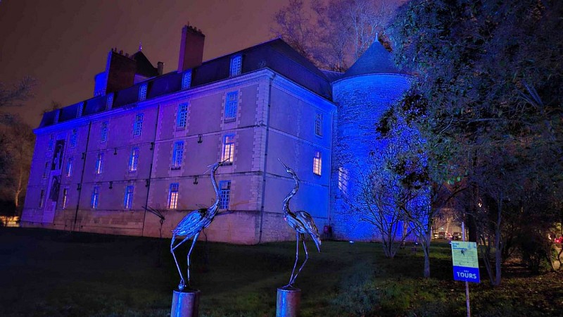 Cetre d'exposition du Château. Vue nocturne