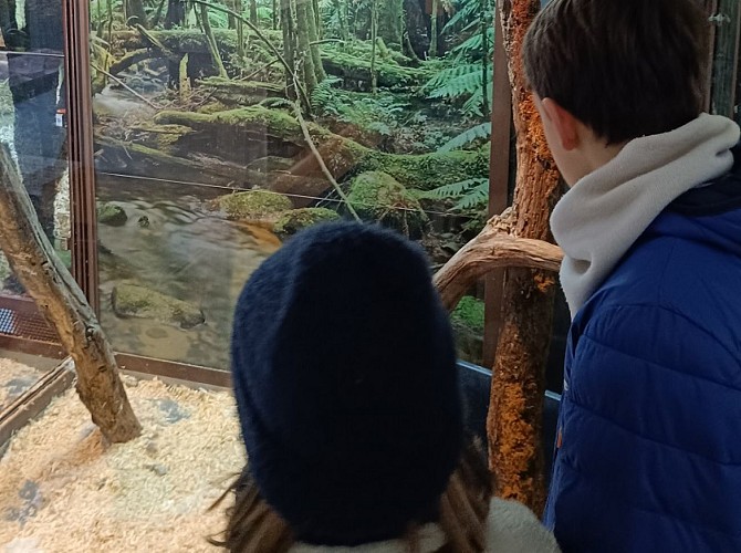 Vivarium du Muséum d'histoire naturelle de Tours.