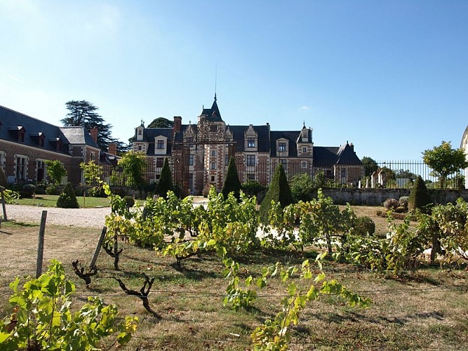 Château de Jallanges - Vernou-sur-Brenne