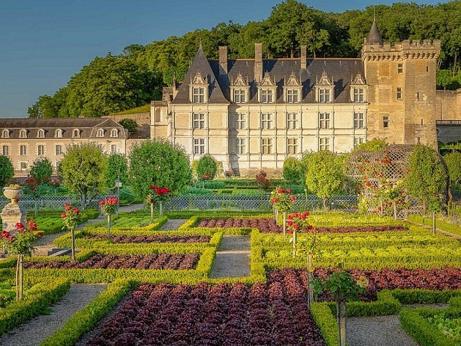 CHATEAU ET JARDINS DE VILLANDRY- FRANCE