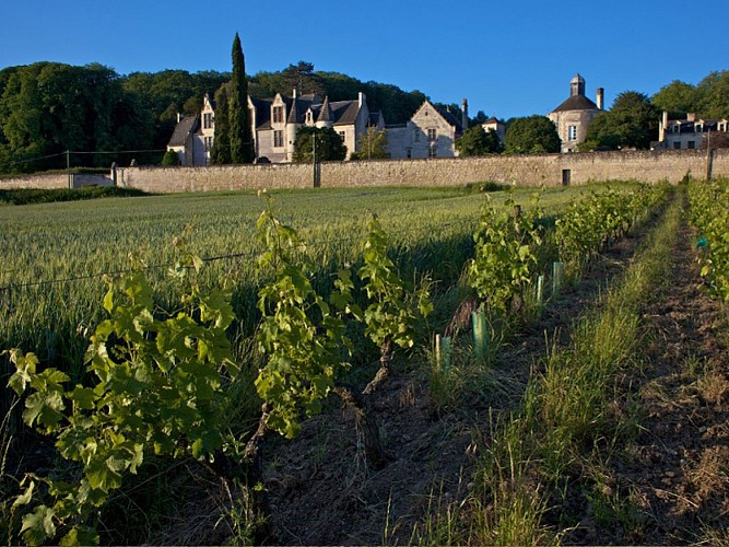 chateau-la_vauguyon02