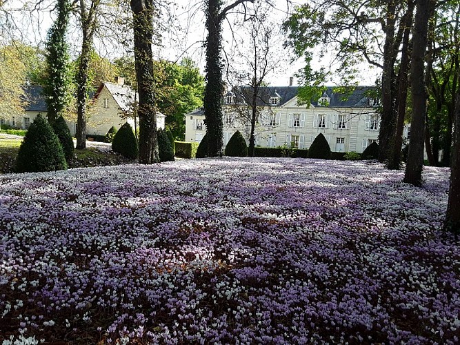 Château de Civray-de-Touraine