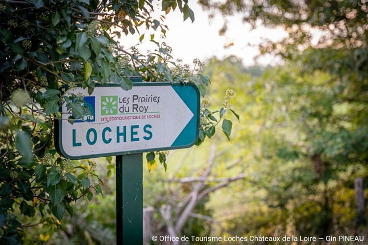 5_beaulieu-les-loches-et-les-prairies-du-roy_gin-pineau_2028