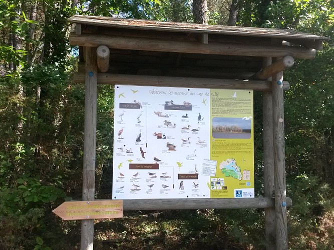 Sentier de découverte du lac de Rillé