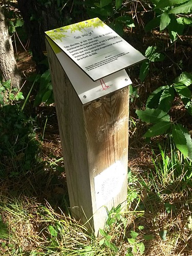 Sentier de découverte du lac de Rillé