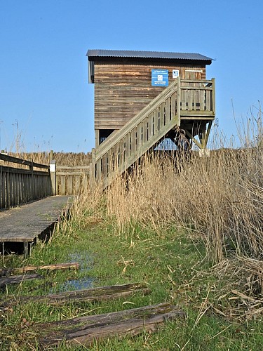 Sentier de découverte du lac de Rillé
