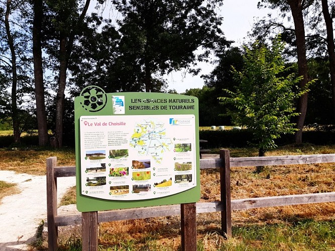 Randonnée pédestre - Saint-Cyr-sur-Loire, Fondettes, La Membrolle-sur-Choisille