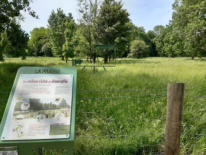 Randonnée pédestre - ENS Val de Choisille