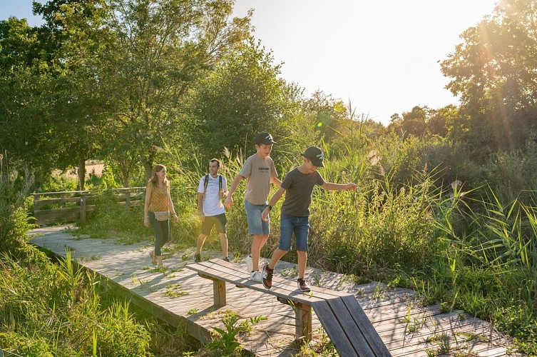 Marais de Taligny - La Roche-Clermault