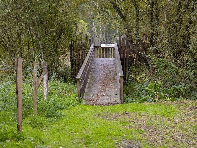 Marais de Taligny
