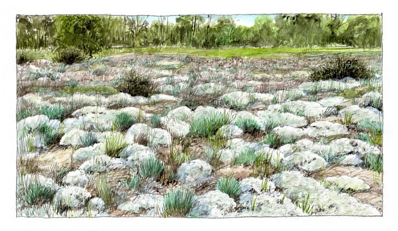 CC-CVL_Tourisme_Sites-naturels_Bertignolles_Paysage-Pelouse©BenoitPerrotin