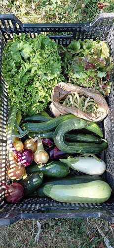 2026 - Ferme La Petite Clavelie RIBERAC 1