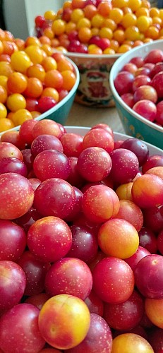 2026 - Ferme La Petite Clavelie RIBERAC