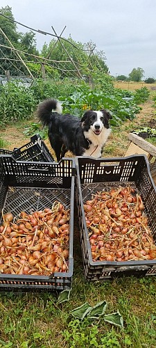 2026 - Ferme La Petite Clavelie RIBERAC