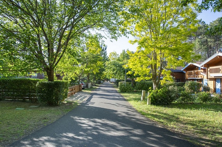 2026_nouziere_k9-1 (Copier)