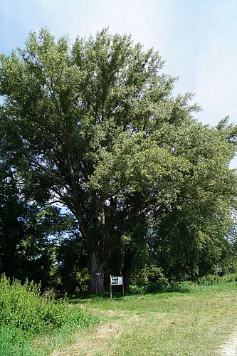 DSC00181