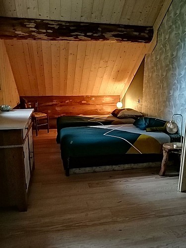 chambre" grenouille fraise"