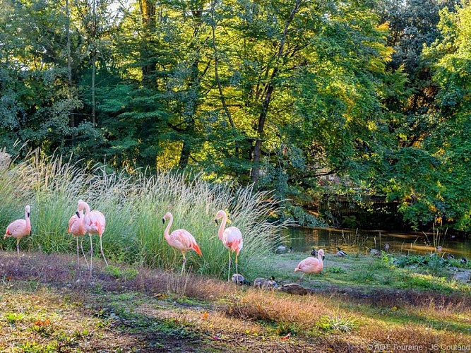 Jardin botanique de Tours