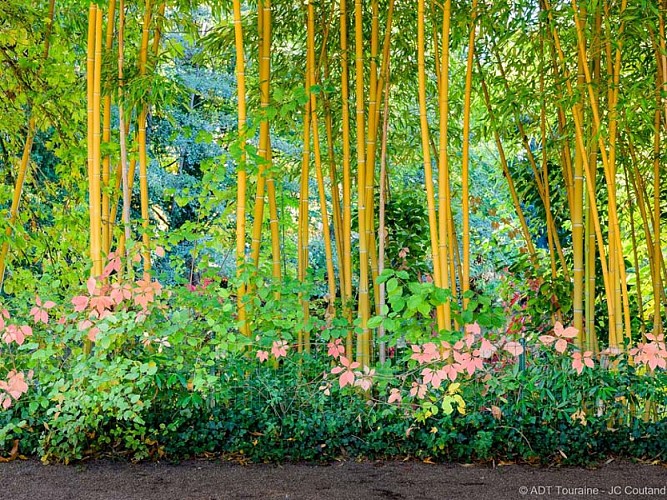 Jardin botanique de Tours