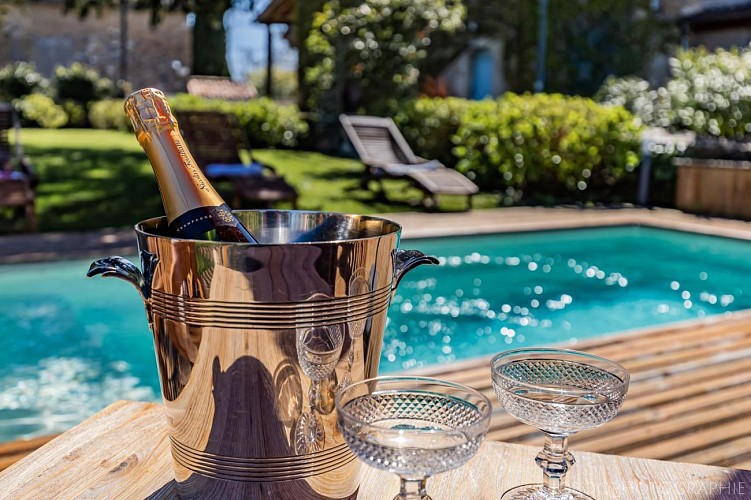 OSTAL CASSINIA