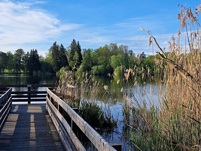 Etang