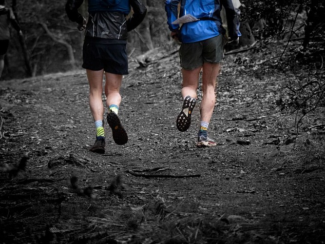 Des parcours techniques et une belle aventure à vivre en Morvan 