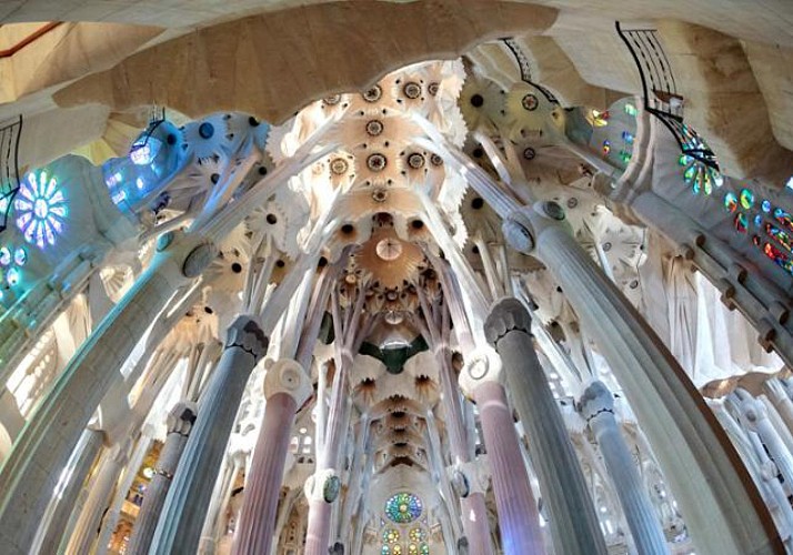 Visite guidée de la Sagrada Familia et du Parc Güell - Billets coupe-file + accès à une des tours en option