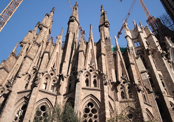 Visite guidée de la Sagrada Familia et du Parc Güell - Billets coupe-file + accès à une des tours en option