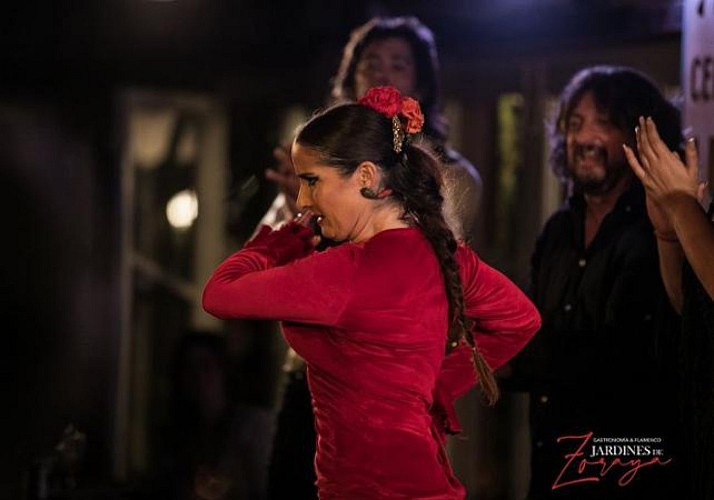 Flamenco Show in Granada