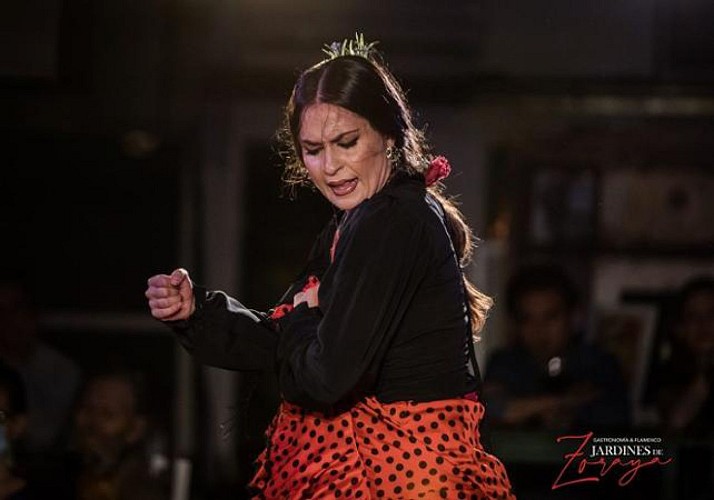 Espectáculo de flamenco en Granada