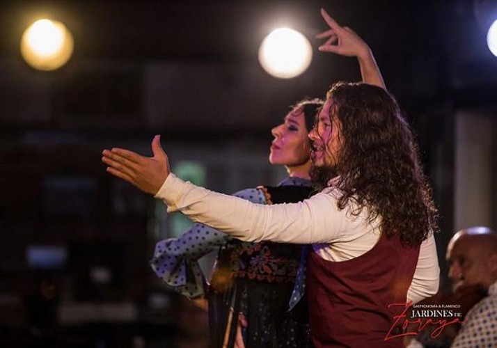 Spettacolo di Flamenco a Granada