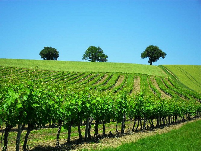 Village de Beaucaire