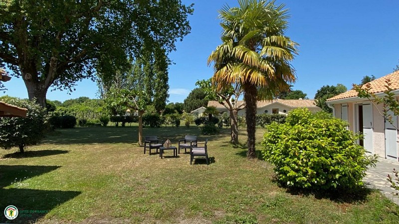 photo6