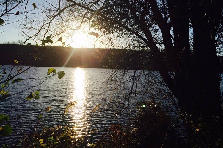 Gîte du Lac de Bairon, maison à 3 kms du Lac de Bairon. Idéal pêche, rando, VTT - Sauville - Ardennes