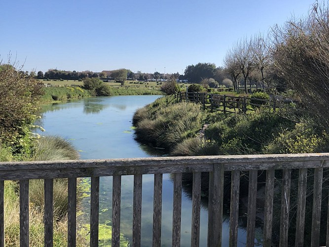 PARC-DE-L-EDIT-COURSEULLES-SUR-MER-PONT-EN-BOIS-CREDIT-MATHILDE-LELANDAIS