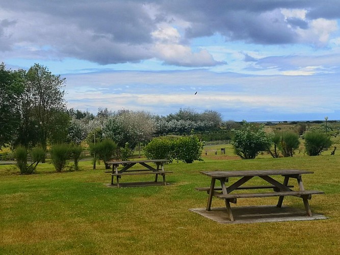 TABLES-PIQUE-NIQUE-PARC-DE-L-EDIT-COURSEULLES-SUR-MER-CREDIT-CLAIRE-SALMERON-TENDRON