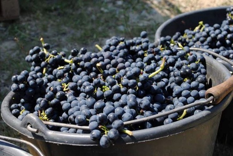 Domaine Ferme des Arnaud (Groups & Seminars)