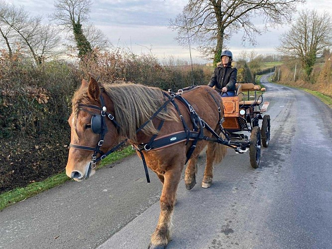 Le Logis de la Roche (6 personnes)