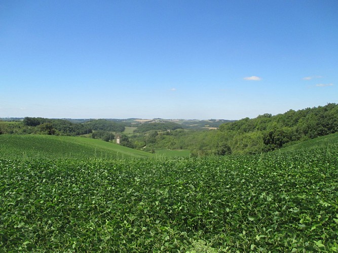 Point de vue remarquable