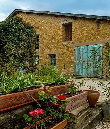 Chambres d'hôtes en Argonne, élevage de chevaux, sentiers de randonnée - Grandpré - Ardennes
