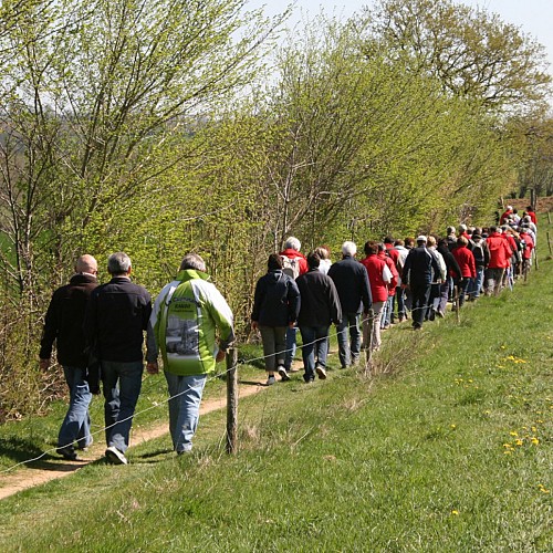 Randonnée pédestre des Puys