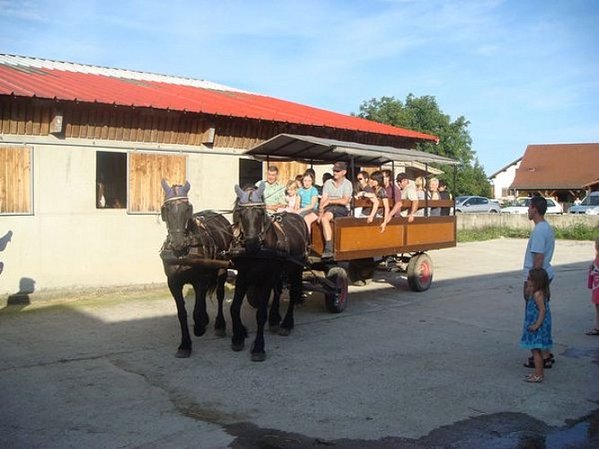 Fritsch Inn