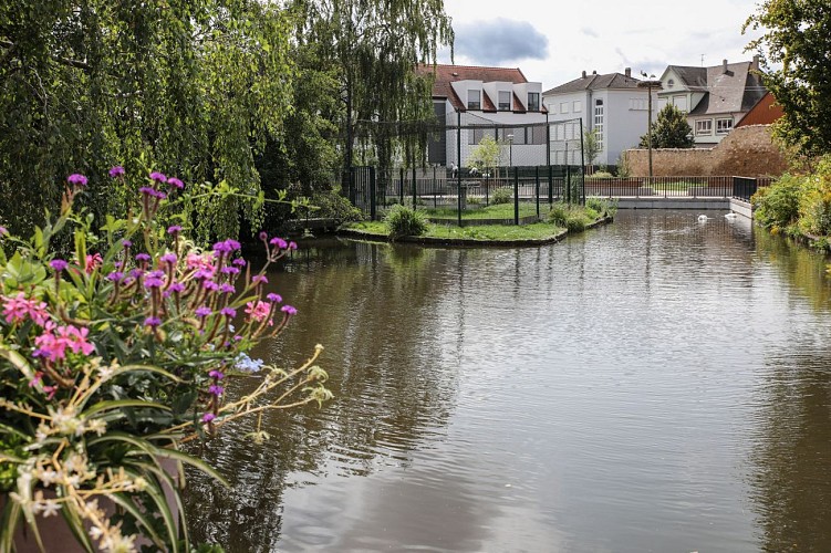 Parc des Cigognes à Molsheim