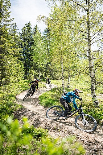 VTT DH privatisé : gravité maximale