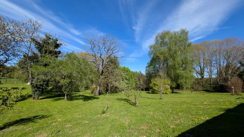 PXL_20250418_142729549