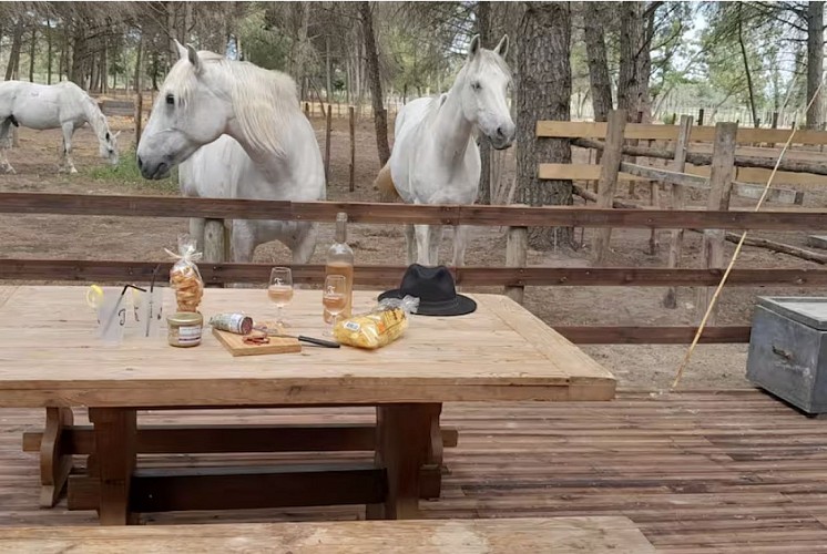 Lodge Tent - Mas de la Comtesse