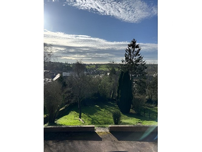 Vue