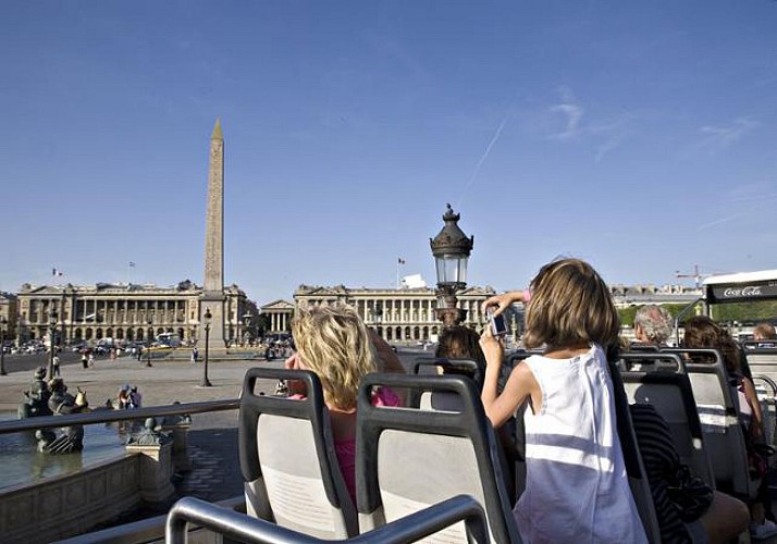 Paris transport pass: Unlimited access to the metro, bus, RER (regional railway) + Seine cruise