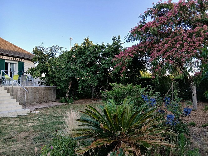 Jardin