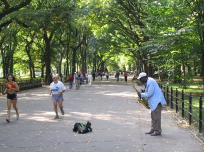 Serata Soul Food & Jazz a Harlem - Visita guidata, cena e concerto jazz - in francese